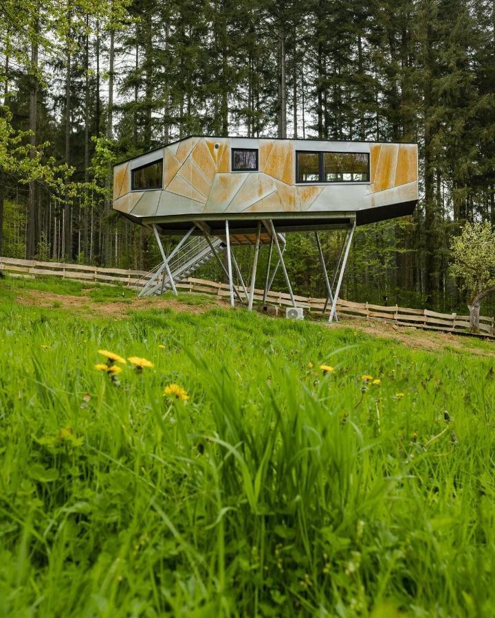 Baumhausapartment Breuberg Екстериор снимка